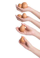 hand holding eggs over white background - 70582130
