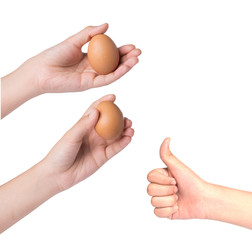 Like eggs over white background