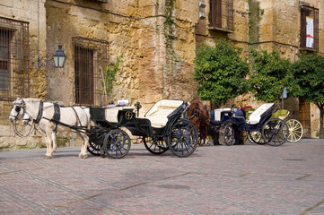 Pferdekutsche in Cordoba - Andalusien - Spanien