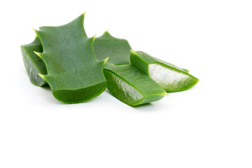 aloe vera fresh leaf. isolated over white