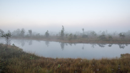 Beautiful tranquil landscape of misty swamp lake