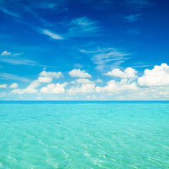 beautiful beach and tropical sea