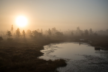 Obraz na płótnie Canvas Beautiful tranquil landscape of misty swamp lake
