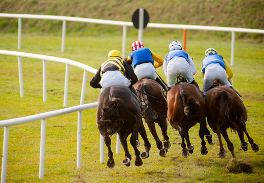 horses racing the track