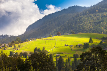 Beautiful nature of the mountains and hill in summer