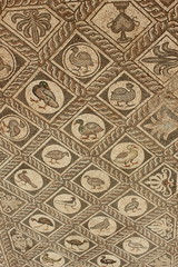 Bird Mosaic Floor from Ancient Delphi