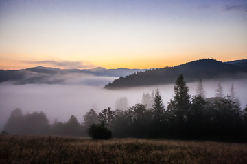 fog and cloud mountain valley landscape,