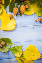 Autumn background leaves fruits blue table