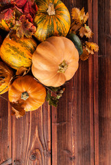 Autumn agriculture products on wood