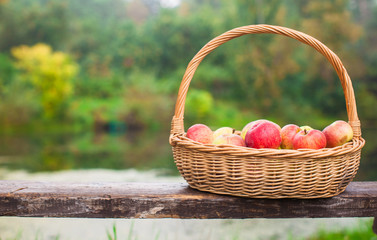 Big straw basket with red and yellow apples on bench by the lake