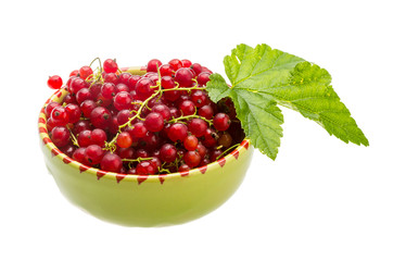 Red currant