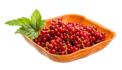 Red currant