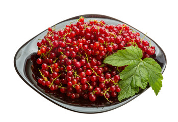 Red currant