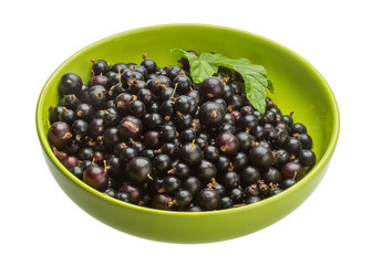 Black currant