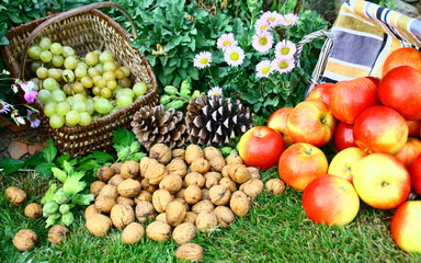 raisin blanc,noix,pommes,fruits de saison dans le jardin