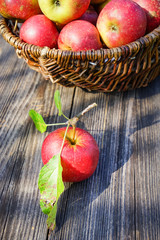 Korb mit frischgepflückten Äpfeln auf altem Holztisch