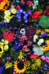 Fototapeta na wymiar colorful flowers