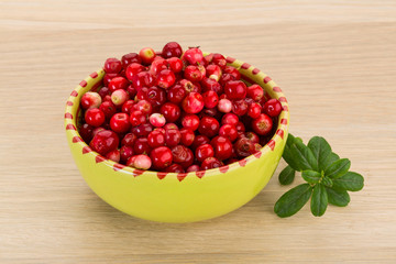 Cowberry