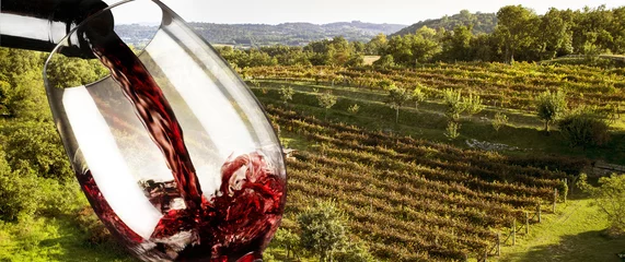 Abwaschbare Fototapete Wein Rotwein im Weinberg