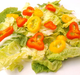 frischer Salat