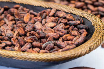 Cocoa beans in a tray