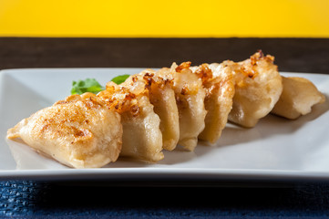 dish with dumplings - regional cuisine