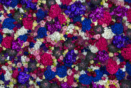 colorful flowers © Sergey Shcherbakov