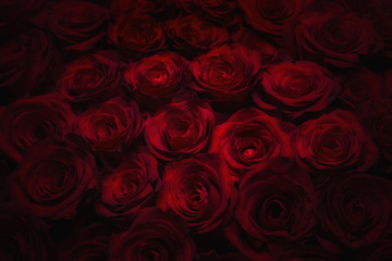 Seamless roses background