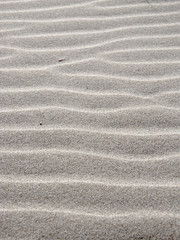 Fototapeta na wymiar grain, pattern sand, waves, lines created by shadow light
