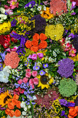 Fototapeta na wymiar colorful flowers 2