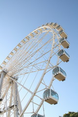 noria