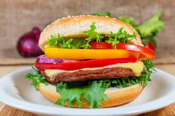 close up of homemade hamburger on white plate