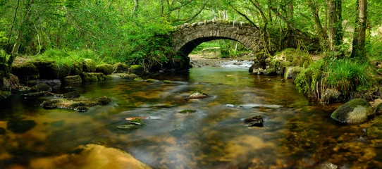 Foto op Canvas Dartmoor Bridge © Helen Hotson