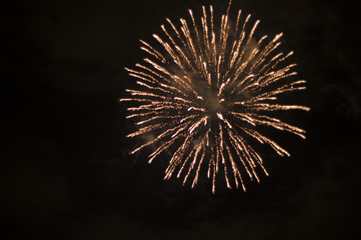 Fireworks dancing in the night sky