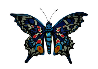 Colorful butterfly. Vector EPS10.