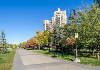 Fototapeta premium Calgary's pathway system in autumn