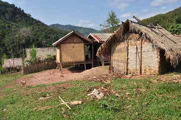 Fototapeta na wymiar Paddy hut in Laos