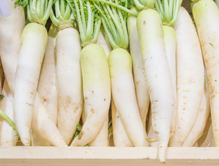 white radish harvested products on wooden planks