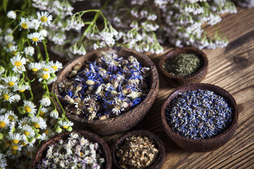 The ancient Chinese medicine