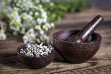 The ancient Chinese medicine