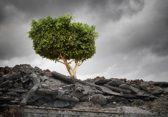 Green tree
