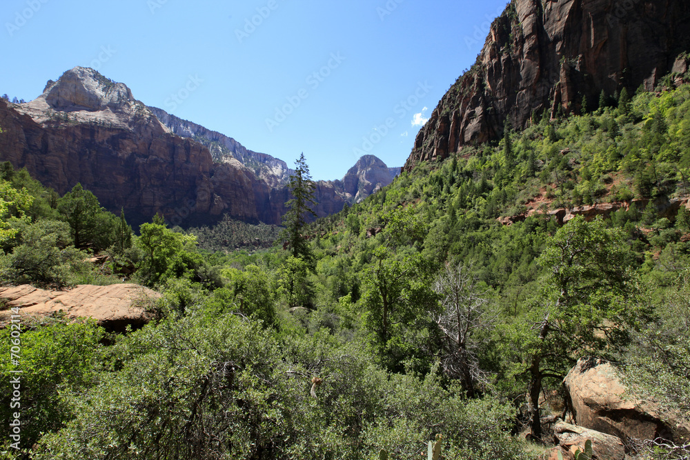 Canvas Prints Zion national Parc