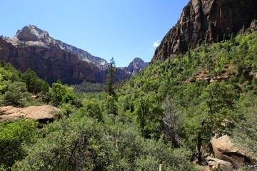 Zion national Parc