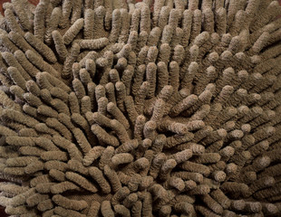 Closeup of carpet,texture and background.
