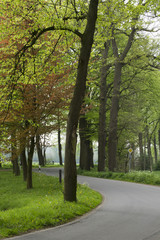 Fototapeta na wymiar Road with a curve in the Dutch landscape
