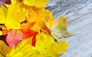 Autumn leaves over old wooden background