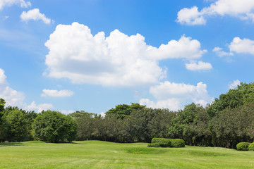 green grass field and blue sky,park in the city