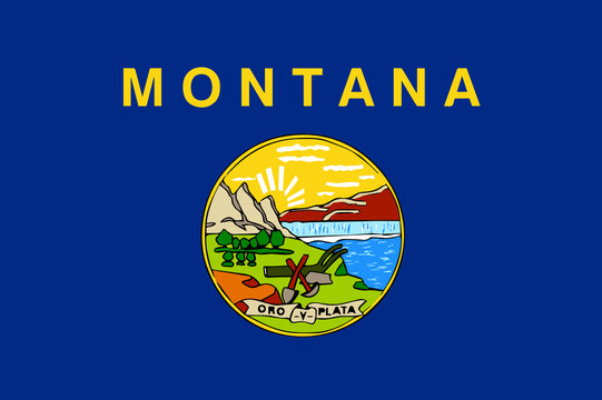 Montana State Flag