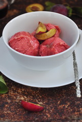Plum frozen yogurt, selective focus