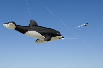 Drachen, Grossdrachen, Winddrachen, Flugdrachen,